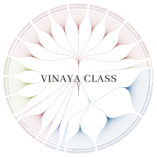 Vinaya Class